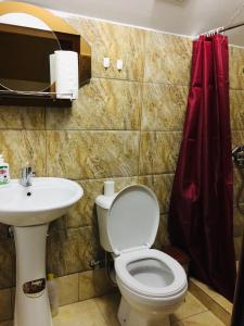 a bathroom with a toilet and a sink at Nadiani Hostel in Omalo