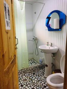 a bathroom with a shower and a toilet and a sink at Nadiani Hostel in Omalo