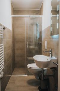 een badkamer met een douche, een toilet en een wastafel bij Three Corners in Grenzach-Wyhlen