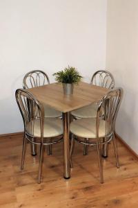drewniany stół z 4 krzesłami i doniczką w obiekcie Apartament Pod Krzywą Wieżą - zameldowanie 24 h w Toruniu