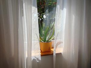 Fotografie z fotogalerie ubytování Apartments Petra v destinaci Biograd na Moru