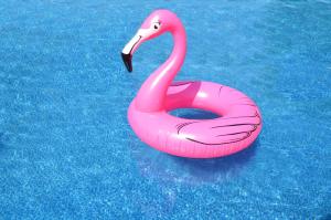 różowy flamingo pływa w basenie w obiekcie Triocamp Praha w Pradze