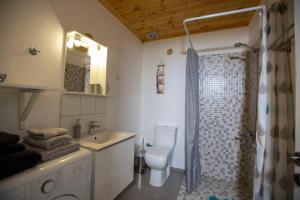 a bathroom with a toilet and a sink and a shower at Agrampeli in Ierissos +24 photos