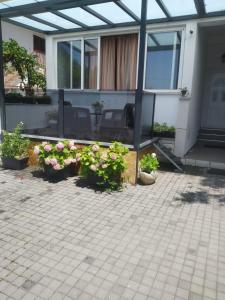 Zahrada ubytování Apartments Centar - Mirjana