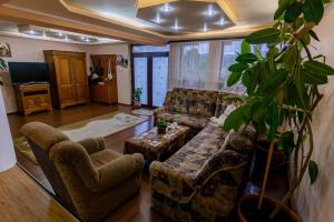 a living room with a couch and chairs and a plant at Casa NITU in Racoviţa