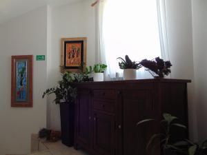 Fotografie z fotogalerie ubytování Apartments Petra v destinaci Biograd na Moru