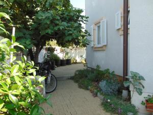 Jízda na kole v ubytování Apartments Petra nebo okolí