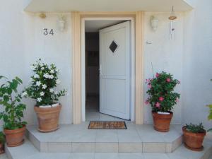 a front door of a building with three potted plants at Apartments Petra in Biograd na Moru