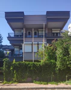 The building in which the homestay is located