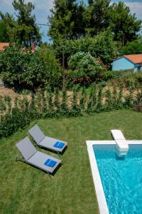 SunBlue Boutique Villas في سكالا راخونيو: كرسيين للصاله ومسبح بالعشب