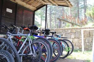 Đạp xe trong hoặc quanh Natyral Razma Resort