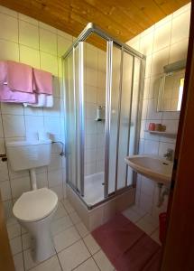 Koupelna v ubytování Pension Franglhof