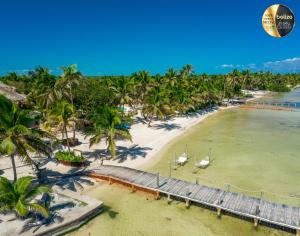 an aerial view of a beach with palm trees and a dock at Portofino Beach Resort-An Authentic Island Escape! in San Pedro