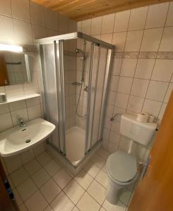 a bathroom with a shower and a toilet and a sink at Pension Franglhof in Kirchberg in Tirol