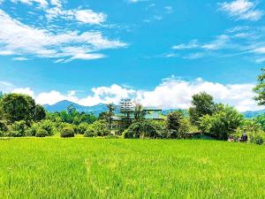 a field of green grass with a house in the background at Ella Peace Heaven in Ella