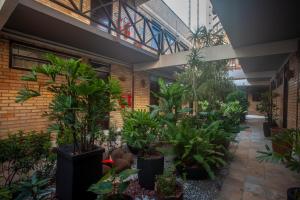un jardín interior con plantas en un edificio en Economy Flat, en Natal