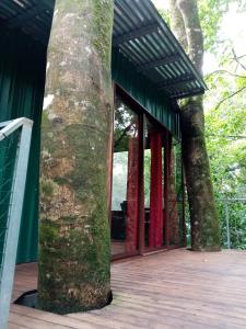 Gallery image of The Green Tree Lodge in Monteverde Costa Rica