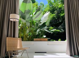 Cette chambre dispose d'une chaise et d'une fenêtre avec une plante. dans l'établissement K Maison Lanna Boutique Hotel-SHA Plus Certified, à Chiang Mai
