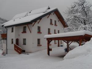 Fotografie z fotogalerie ubytování Ferienwohnung Rottensteiner Sybille inclusiv Sommercard v destinaci Jerzens