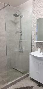 a bathroom with a shower and a sink at Eric Apartament’s Suite in Şelimbăr