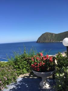 un jarrón lleno de flores junto al océano en Villa Vista Mare Mela, en Lipari