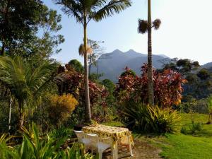 a table in a garden with palm trees and a mountain at Flats vista bela com vista da montanha in Paraty