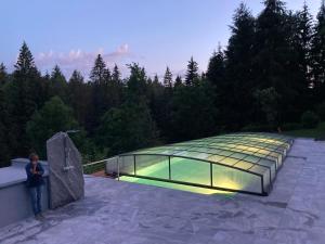 una persona parada en el techo de una casa de cristal en Landidyll-Hotel Nudelbacher, en Feldkirchen in Kärnten