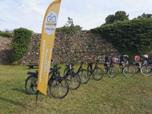 a group of bikes parked next to a flag at Willa Moryń in Moryń