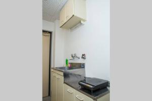 Η κουζίνα ή μικρή κουζίνα στο エバグリーンヴィラ太秦206もみじ