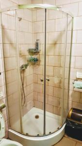 um chuveiro com uma porta de vidro na casa de banho em Stara KAMIENICA em Znin