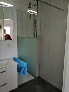 a bathroom with a glass shower and a sink at Haus Trossenstek I in Büsum