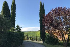 una carretera en un campo con árboles y una valla en Premiere Apartments - Residenza Le Rose nel Chianti, en Lornano
