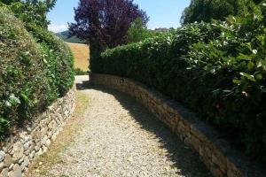 una pared de piedra junto a un camino con arbustos en Premiere Apartments - Residenza Le Rose nel Chianti, en Lornano