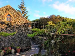 a stone building with a bunch of plants at Casa Rural Casa & Monte in Casas del Monte