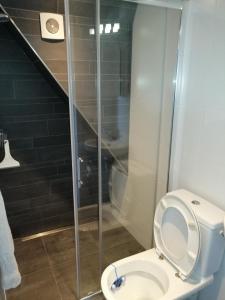 a bathroom with a toilet and a glass shower at Princestraat in Katwijk aan Zee