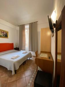 a hotel room with a bed and a television at Hotel Il Papavero in Rome