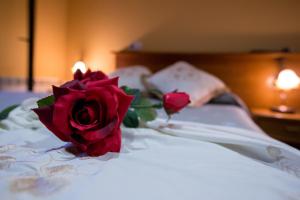 two roses sitting on top of a bed at Hotel Restaurante Canero in Canero