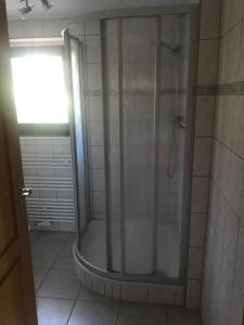 La salle de bains est pourvue d'une douche avec une porte en verre. dans l'établissement Fewo-Michi, à Kurort Oberwiesenthal