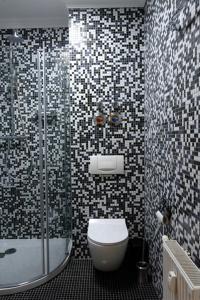 y baño con aseo y ducha. en Stylisches City Appartment in Chemnitz bester Lage! en Chemnitz