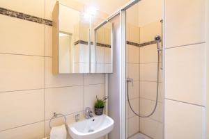 Fotografie z fotogalerie ubytování Apartment Puchsbaumgasse ve Vídni