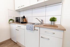 A kitchen or kitchenette at Apartment Puchsbaumgasse