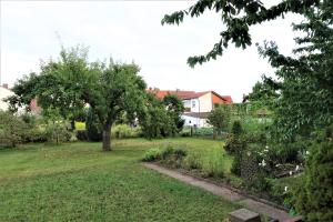 un jardín con un árbol y un camino en Ferienwohnung-M8 im schönen Werratal en Jestädt