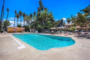 uma piscina num quintal com cadeiras e árvores em Quality Inn Escondido Downtown em Escondido