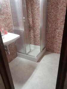 a shower with a glass door next to a sink at Orée du Bois in Abreschviller