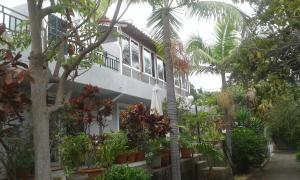 ein Gebäude mit Bäumen und Pflanzen davor in der Unterkunft Residencial Melba in Funchal