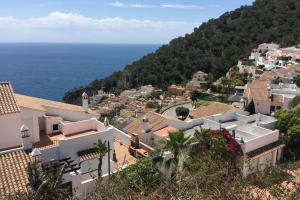 Príroda v okolí vily