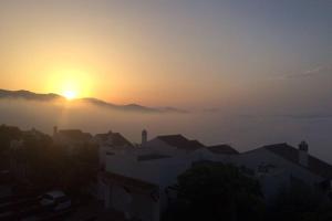 Príroda v okolí vily