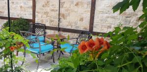 Zahrada ubytování Kirios Hotel
