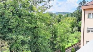 Priroda u blizini apartmana