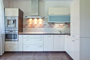 Kuchyňa alebo kuchynka v ubytovaní Aba Apartamenty